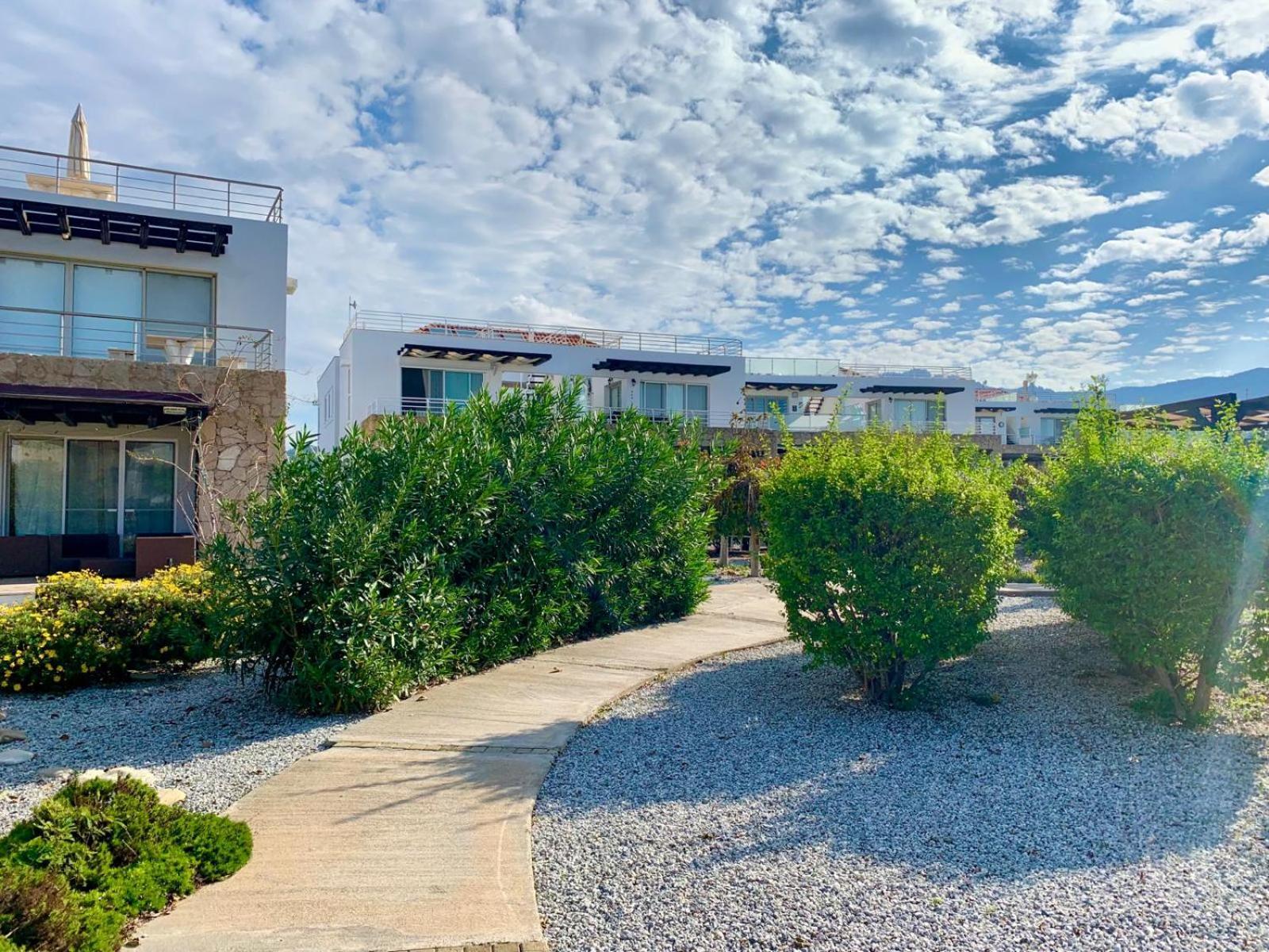 Boho Bay Apartment Akanthou 외부 사진