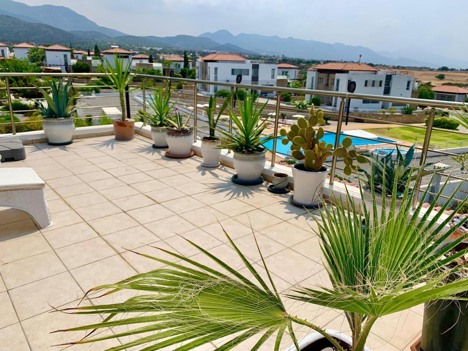 Boho Bay Apartment Akanthou 외부 사진