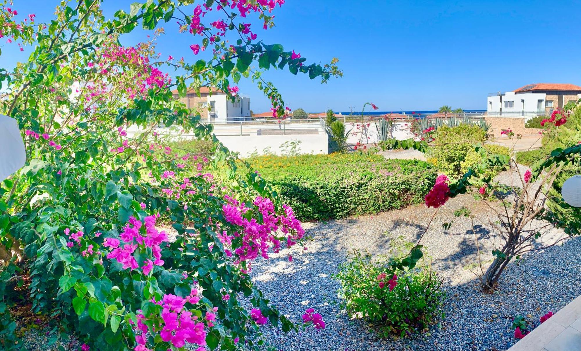 Boho Bay Apartment Akanthou 외부 사진